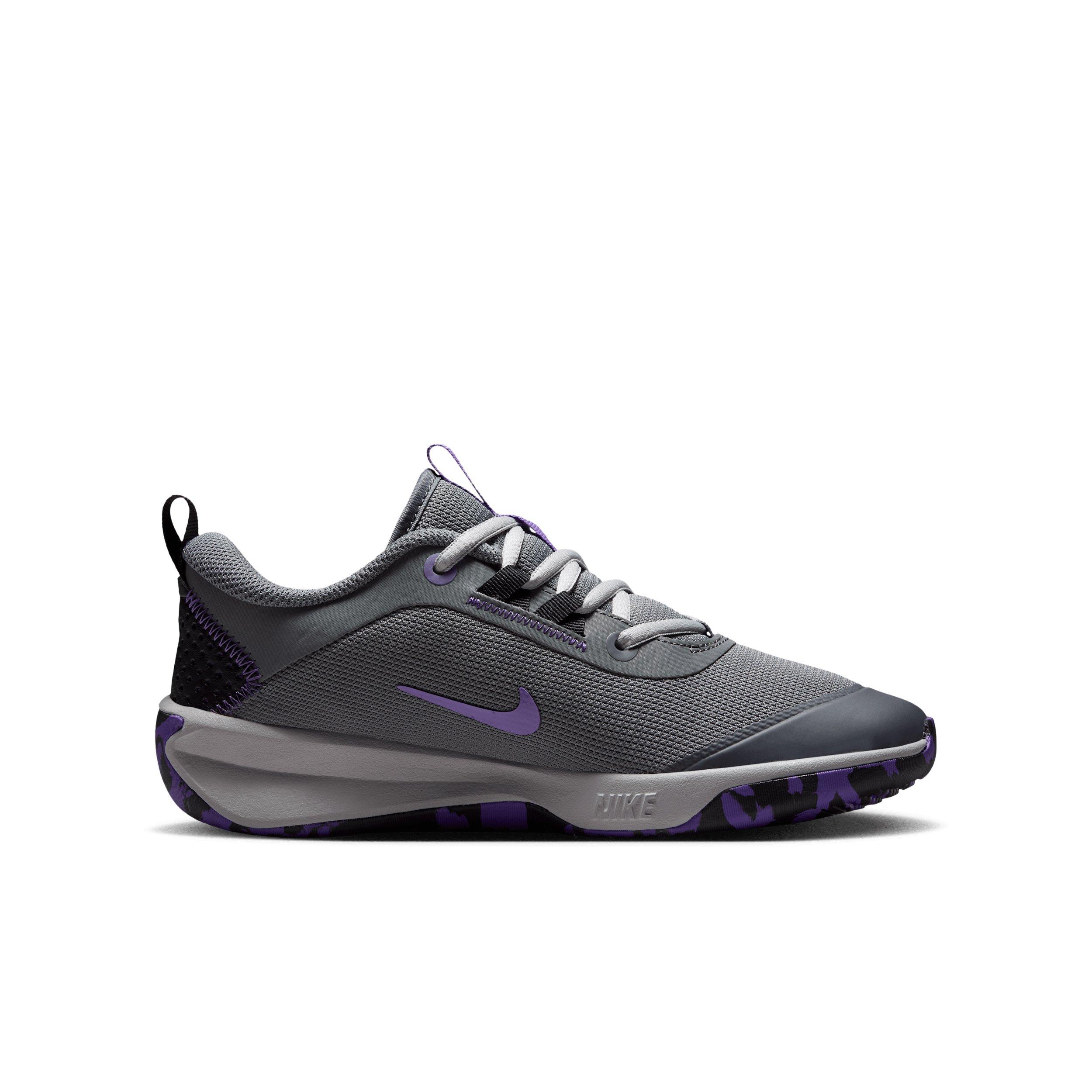 Nike Omni Multi-Court "Smoke Grey/Action Grape/Light Smoke Grey/Gold" Grade School Boys' Shoe - GREY/GRAPE/LT GREY/GOLD